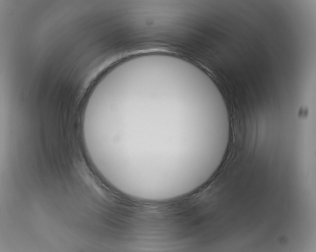 X0000113140350200909041002