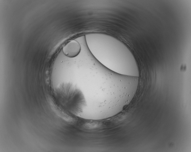 X0000113140351200909041002