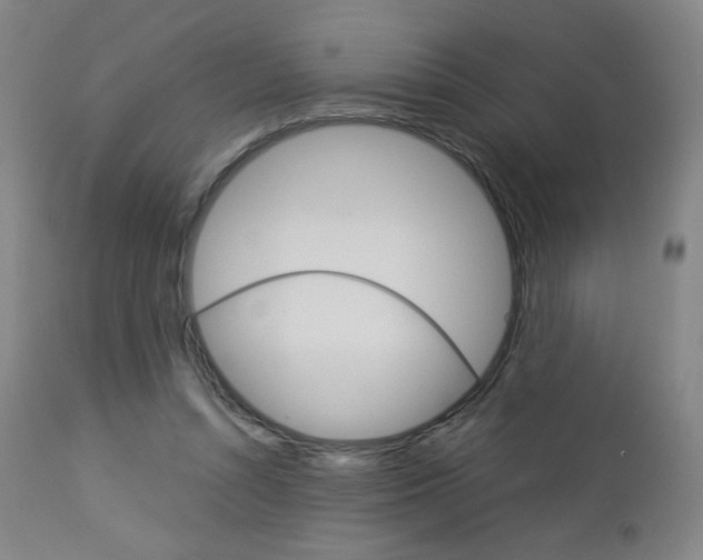 X0000113140352200909041002