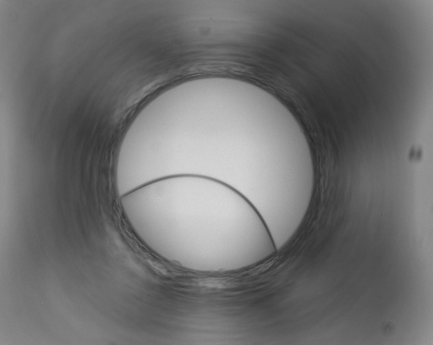 X0000113140356200909041002