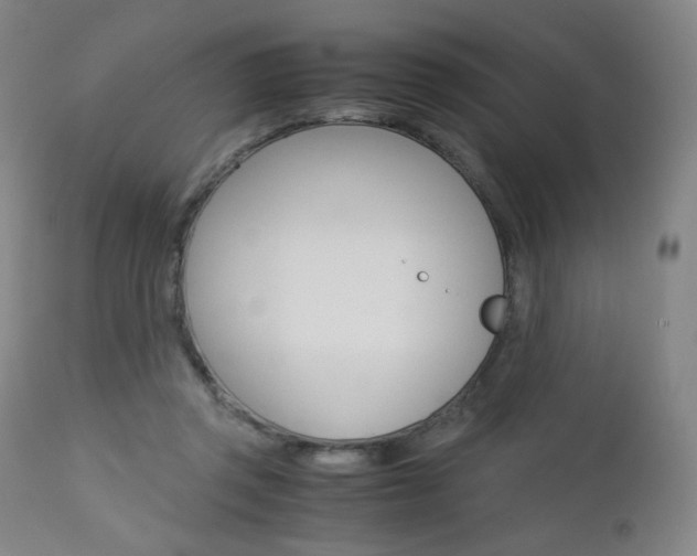 X0000113140357200909041002