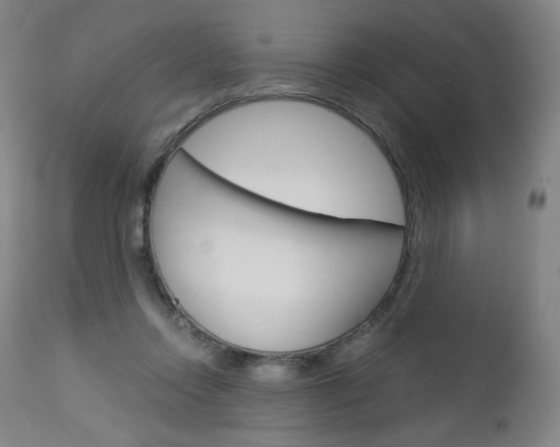 X0000113140358200909041002