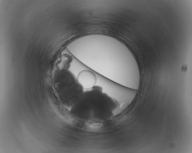 X0000113140359200909041002