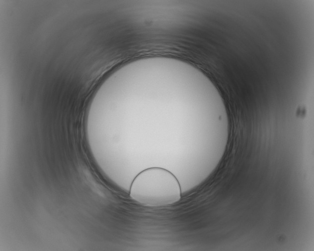 X0000113140360200909041002