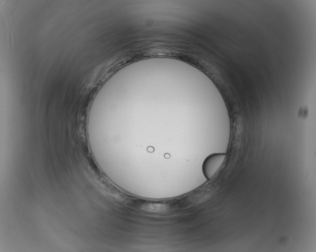 X0000113140361200909041002