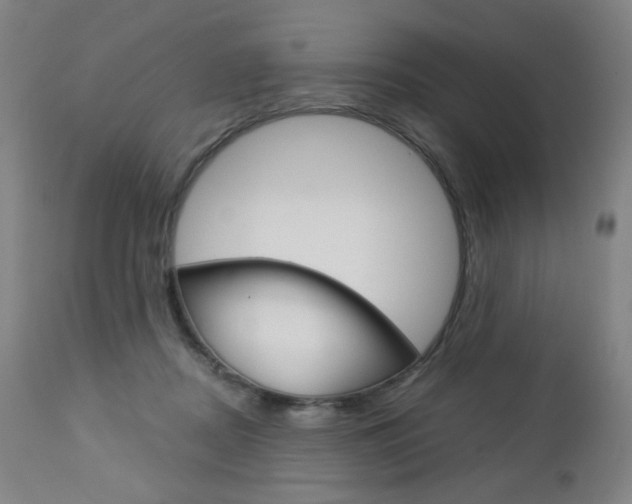 X0000113140362200909041002