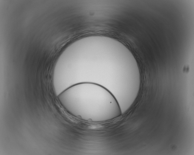 X0000113140364200909041002