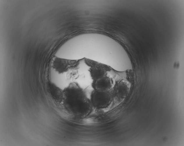 X0000113140365200909041002
