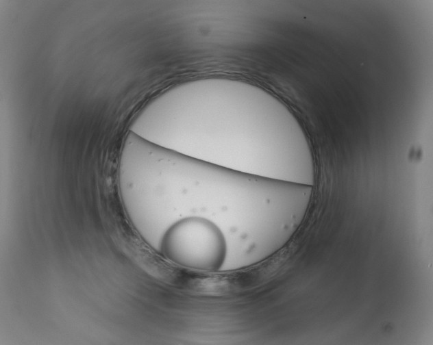 X0000113140366200909041002
