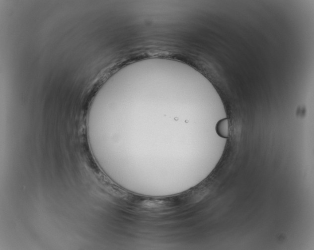 X0000113140367200909041003
