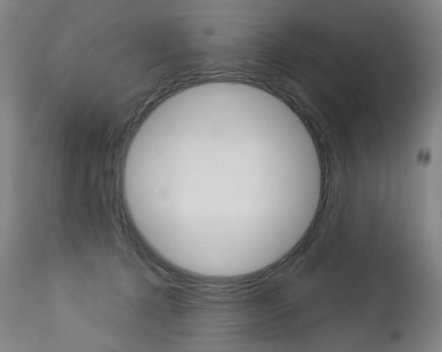 X0000113140368200909041003