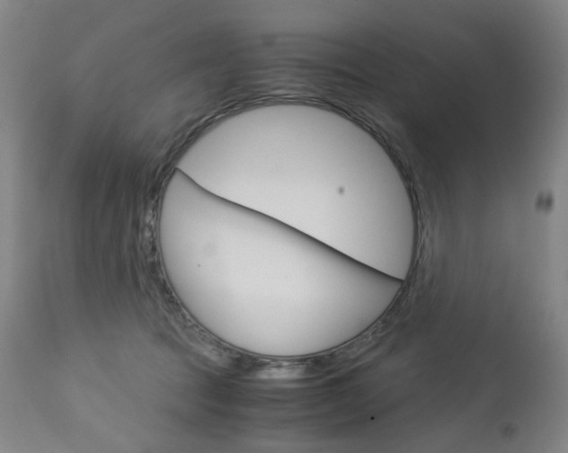 X0000113140369200909041003