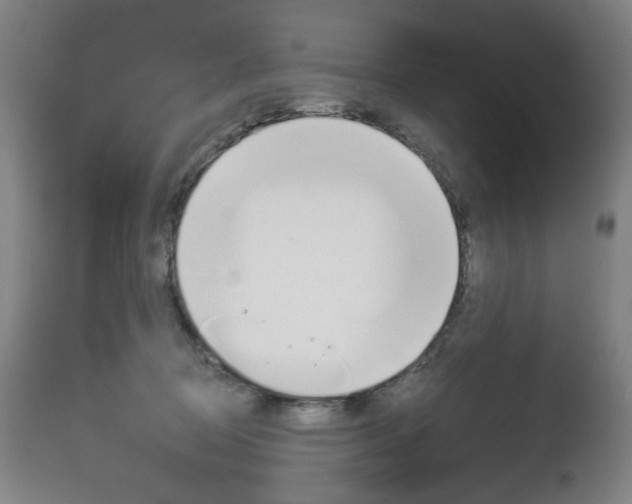 X0000113140370200909041003