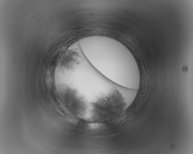 X0000113140371200909041003