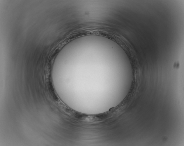 X0000113140372200909041003