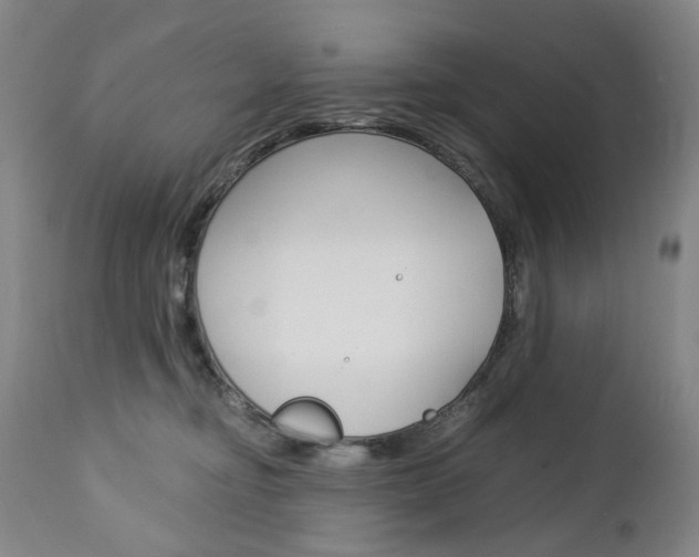 X0000113140374200909041003