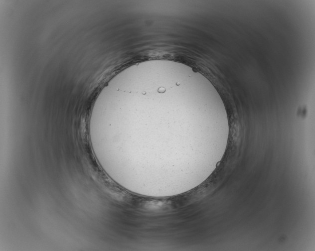 X0000113140375200909041003