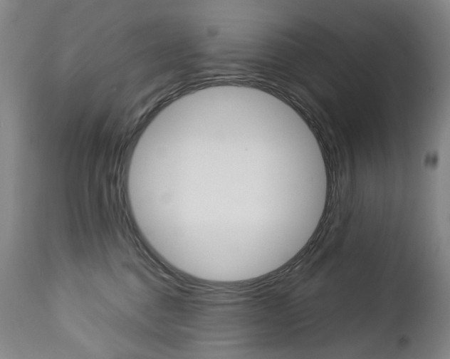 X0000113140376200909041003