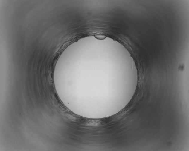 X0000113140377200909041003