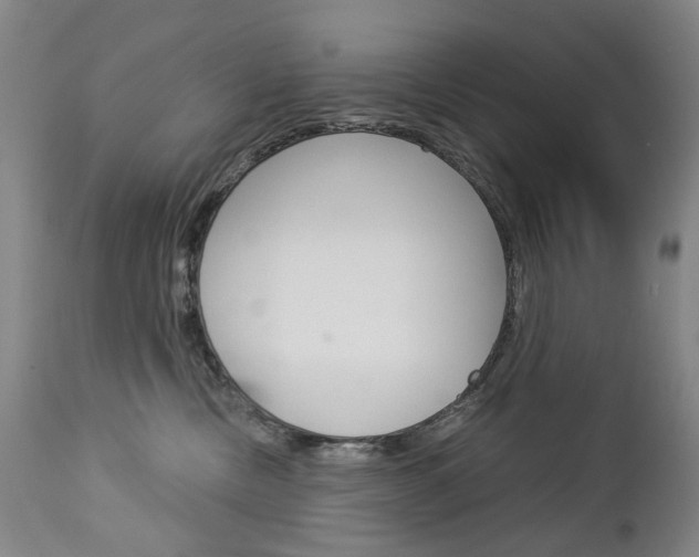 X0000113140378200909041003