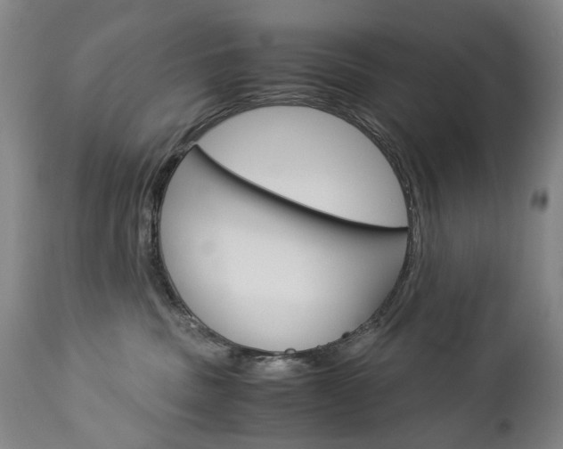 X0000113140379200909041003