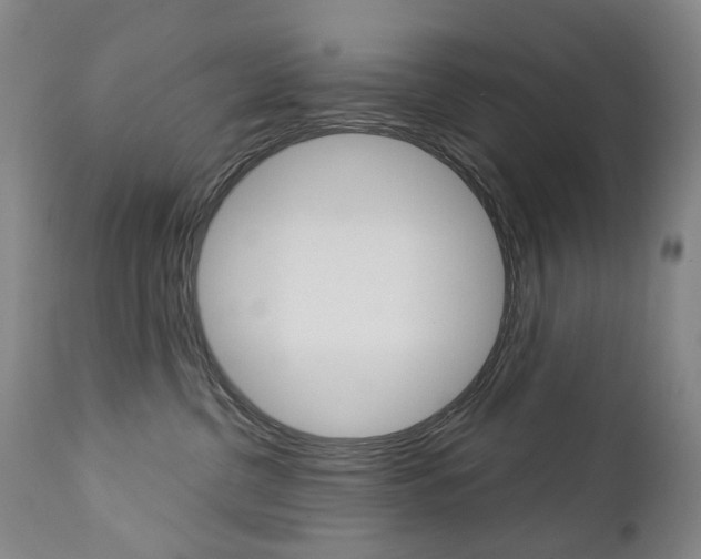 X0000113140380200909041003