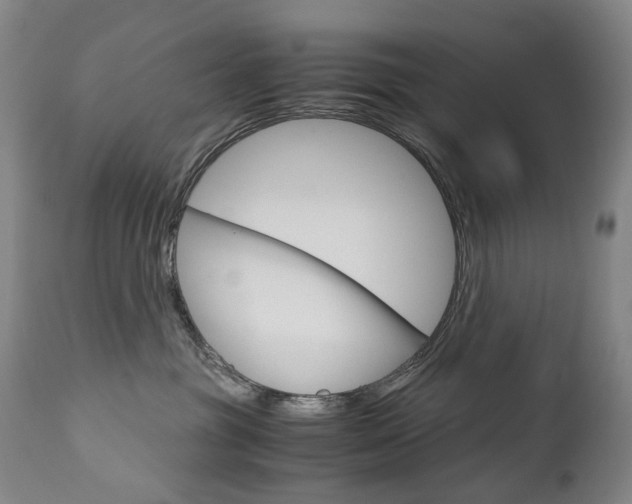 X0000113140381200909041003