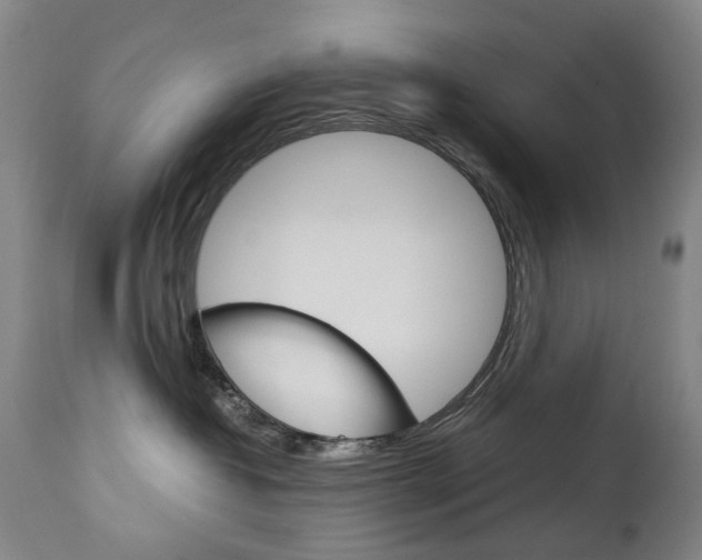 X0000113140382200909041003