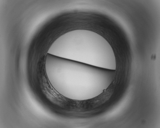 X0000113140383200909041003