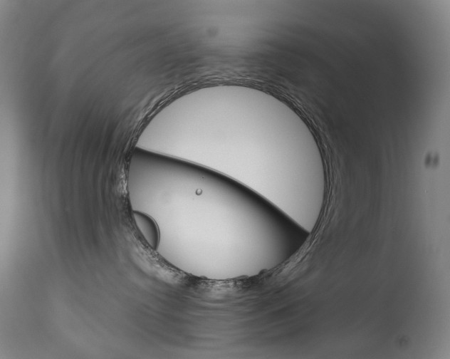 X0000113140384200909041003
