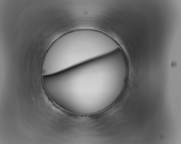 X0000113140385200909041002