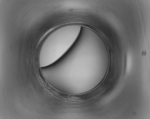 X0000113140387200909041002