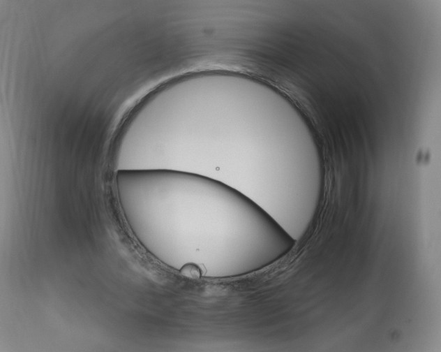 X0000113140388200909041002