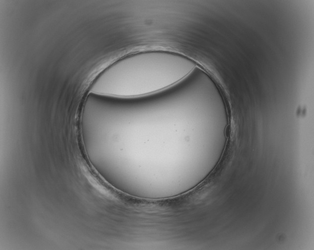 X0000113140389200909041002