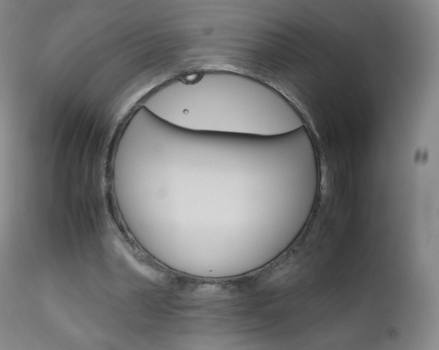 X0000113140390200909041002