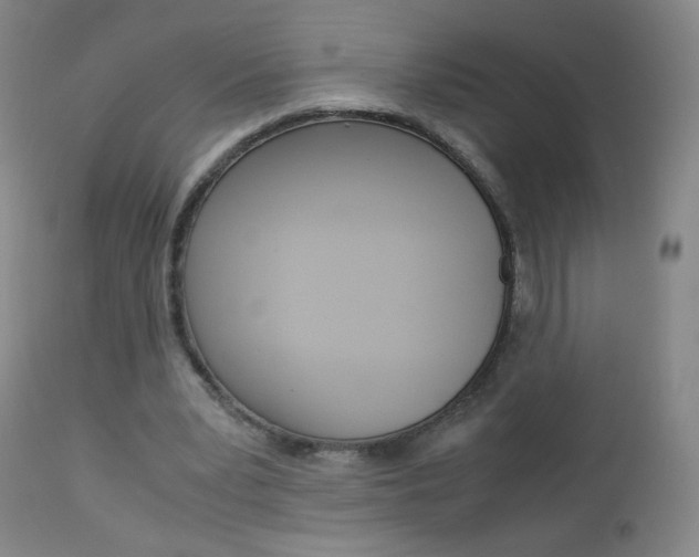 X0000113140391200909041002