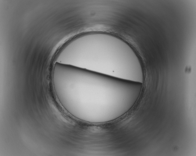 X0000113140392200909041002