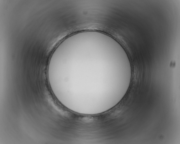 X0000113140394200909041002