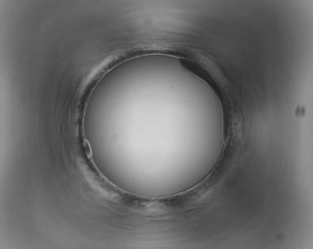 X0000113140395200909041002