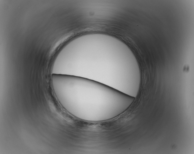 X0000113140396200909041002