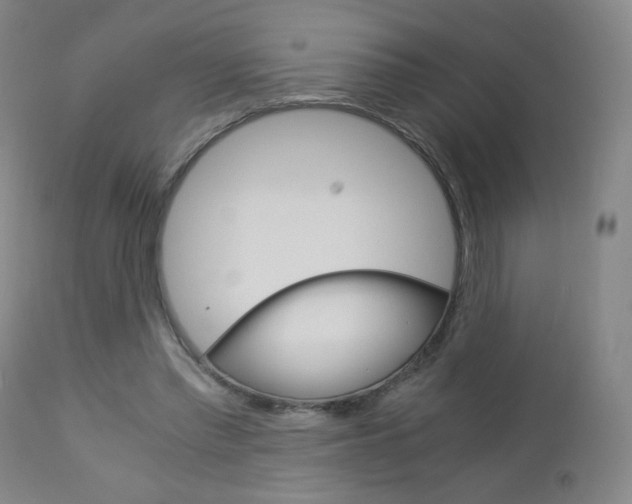 X0000113140397200909041002