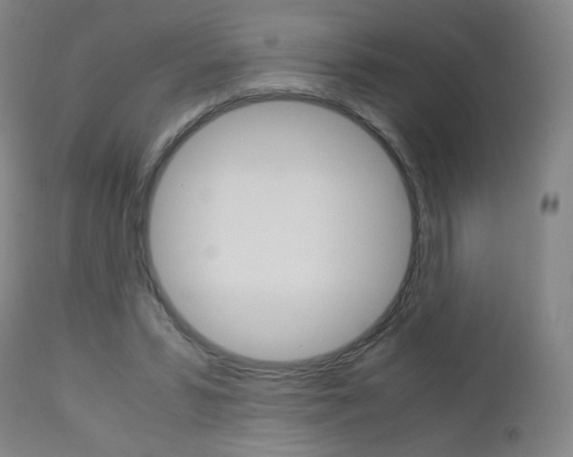 X0000113140399200909041002