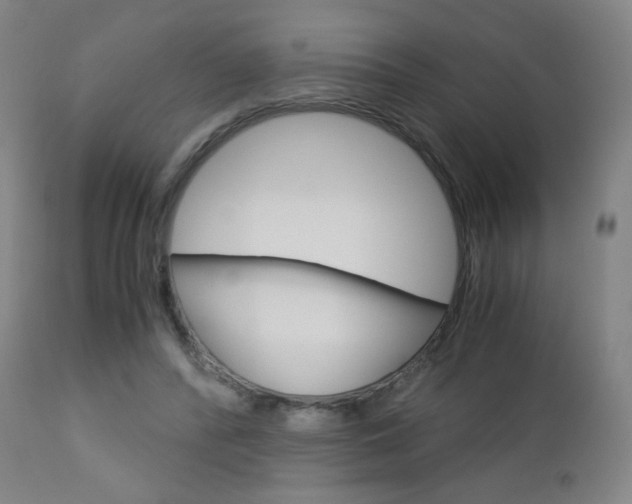 X0000113140400200909041002