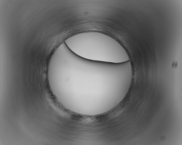 X0000113140402200909041002