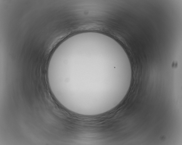 X0000113140403200909041002