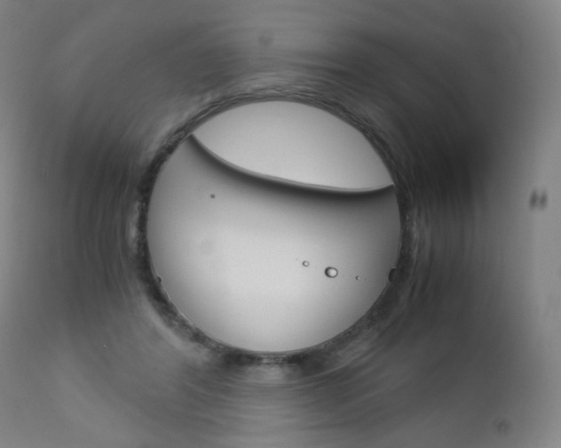 X0000113140404200909041002