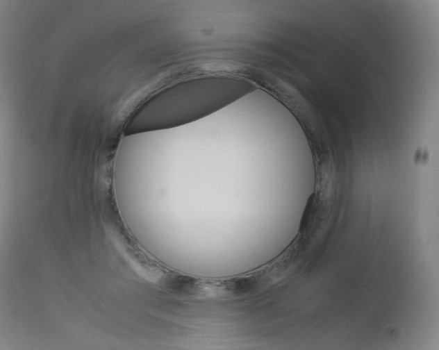 X0000113140405200909041002