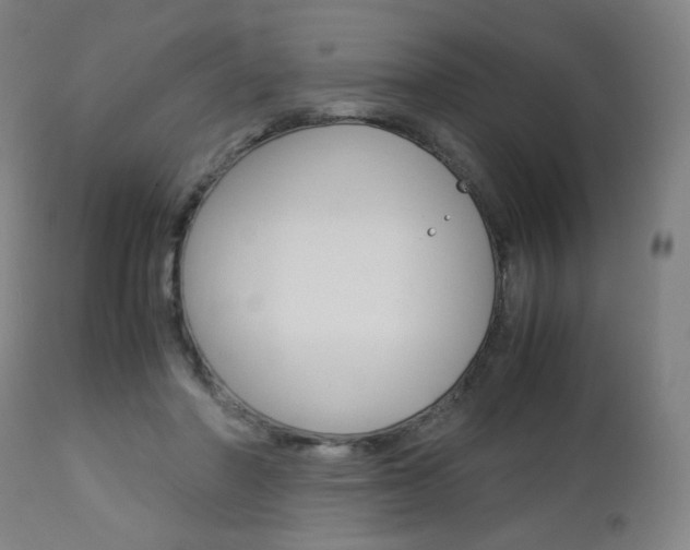 X0000113140406200909041002