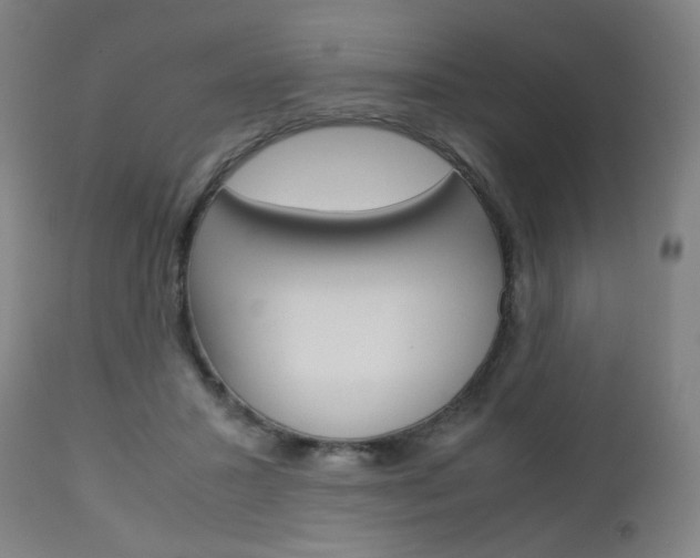 X0000113140407200909041002
