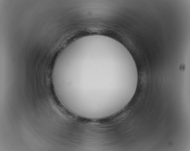 X0000113140408200909041002